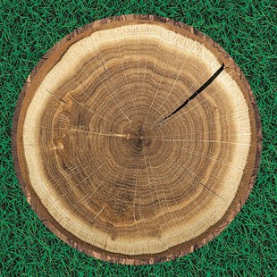 Yuvarlak Piknik Örtüsü Odun Desenli 